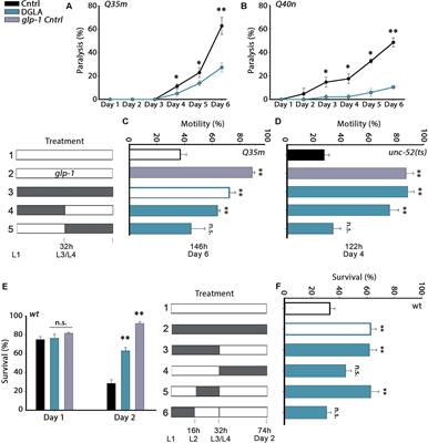 Dietary-Induced Signals That Activate the Gonadal Longevity Pathway during Development Regulate a Proteostasis Switch in Caenorhabditis elegans Adulthood